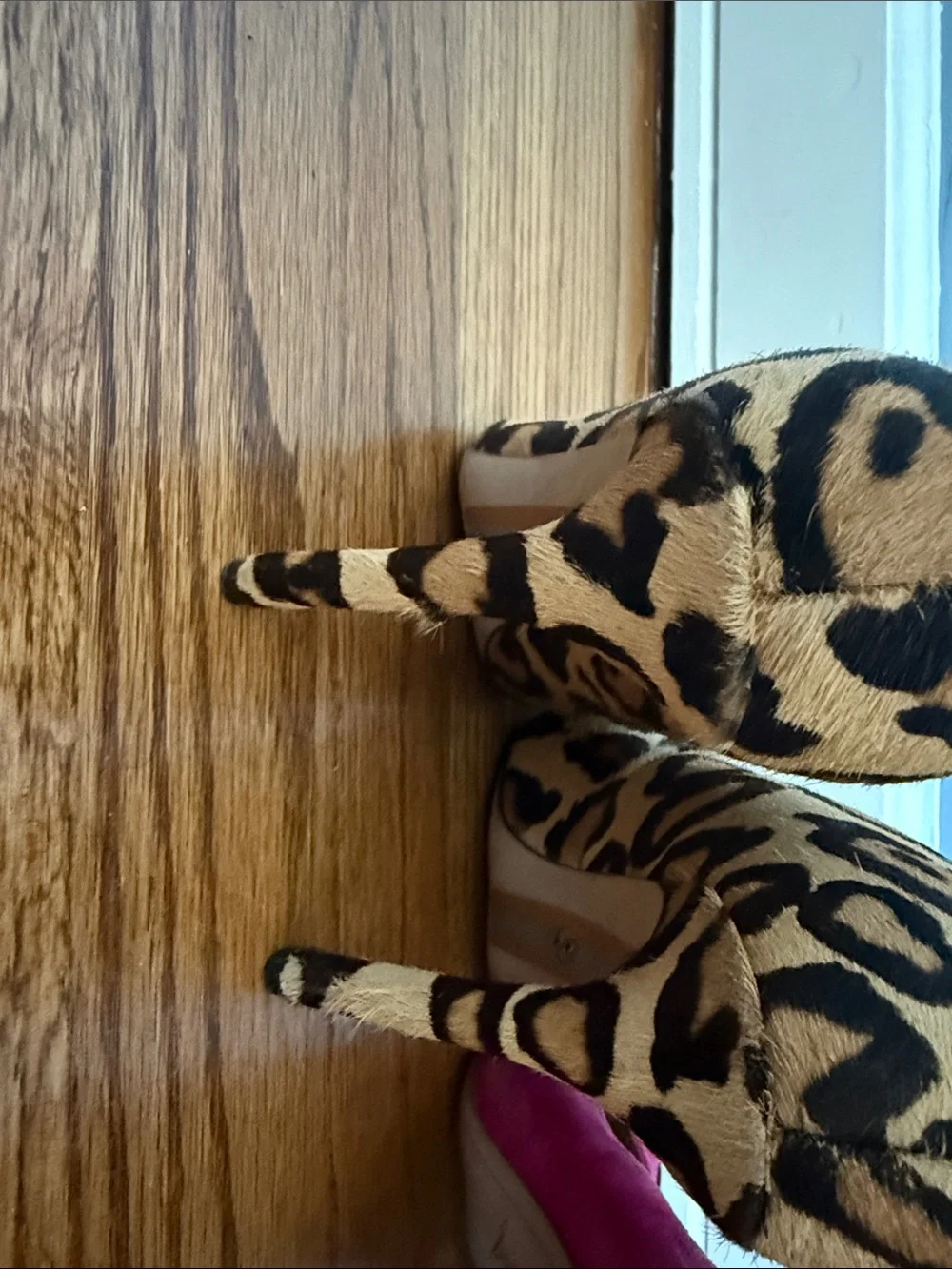 Sam Edelman Pointed Toe Pumps in Leopard, Hot Pink, Light Blue, Olive and Slate